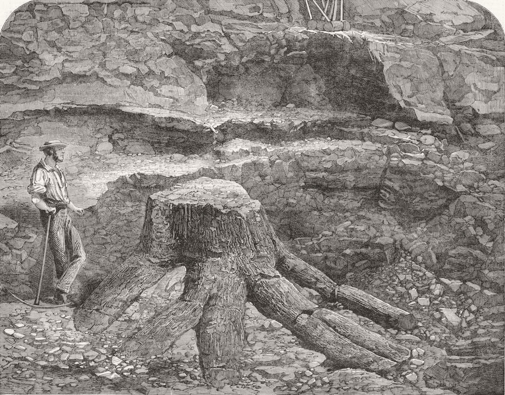 COALBROOKDALE. Fossil tree found, Quarry  1863 old antique print picture